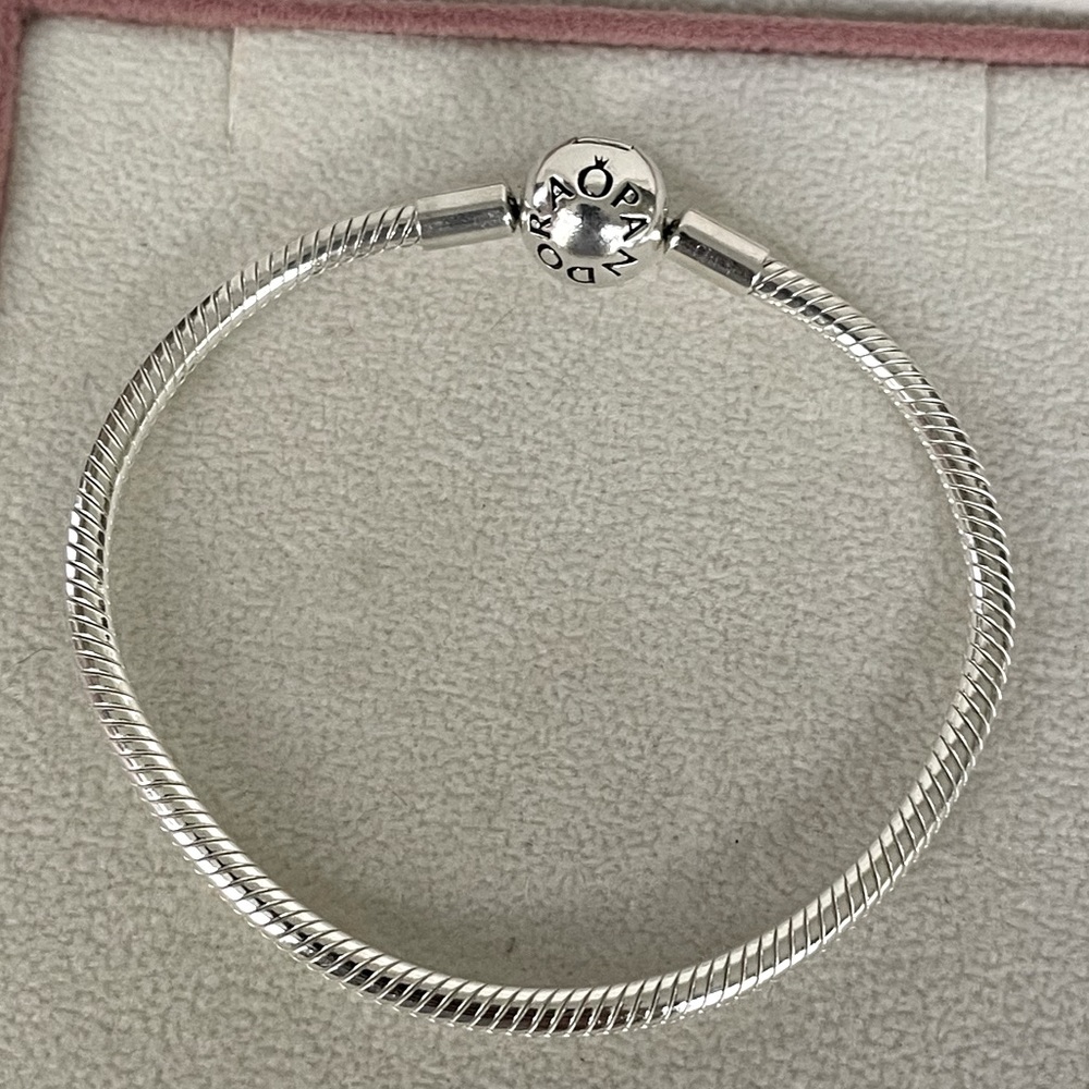 Pandora Silver Snake Chain Bracelet